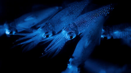 Watch Dark Seas. Episode 4 of Season 1.