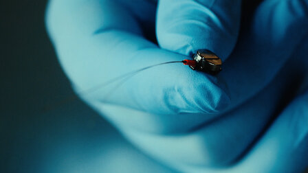 Watch Clandestine Collection. Episode 4 of Season 1.