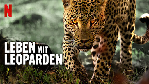 Leben mit Leoparden