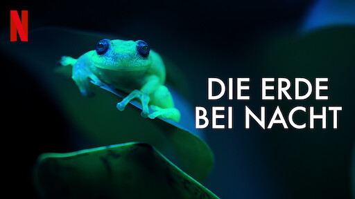 Die Erde bei Nacht